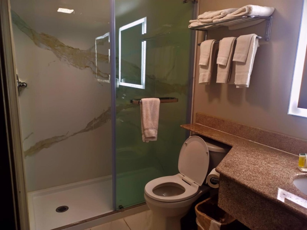 King Studio Suite - Smoking