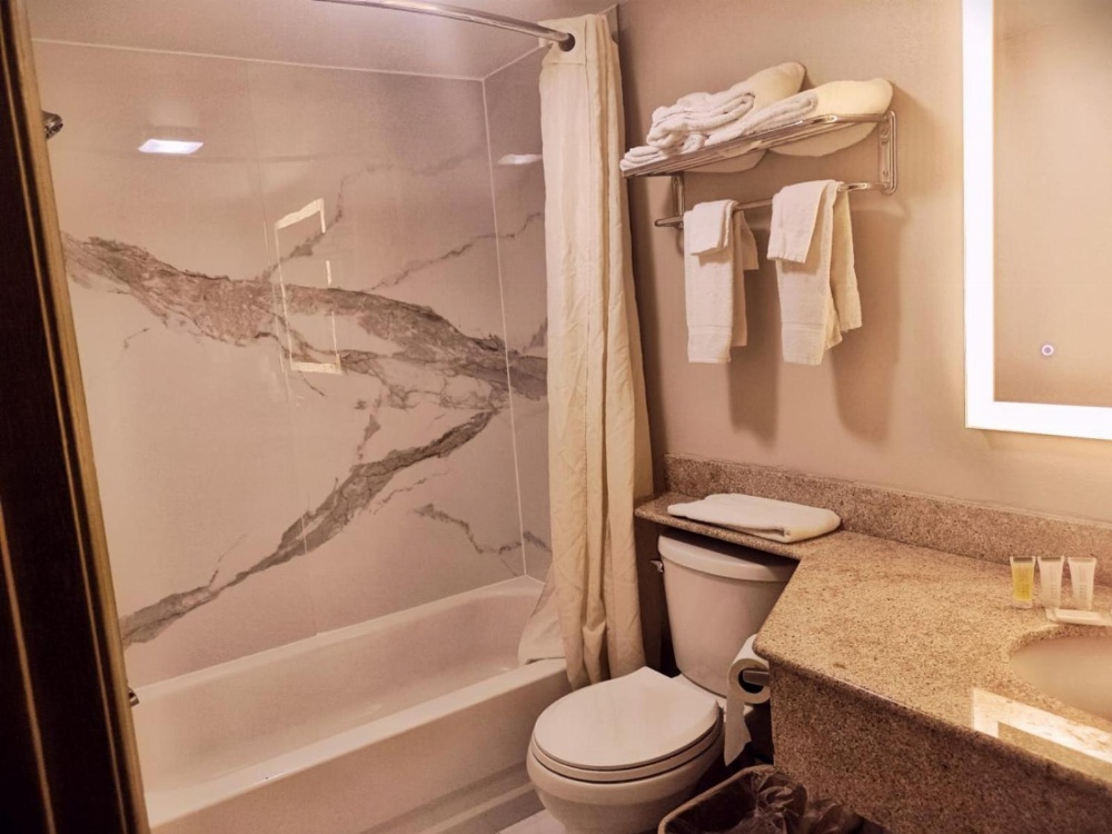 King Studio Suite - Non-Smoking